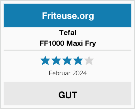 Tefal FF1000 Maxi Fry Test