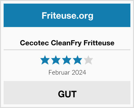  Cecotec CleanFry Fritteuse Test